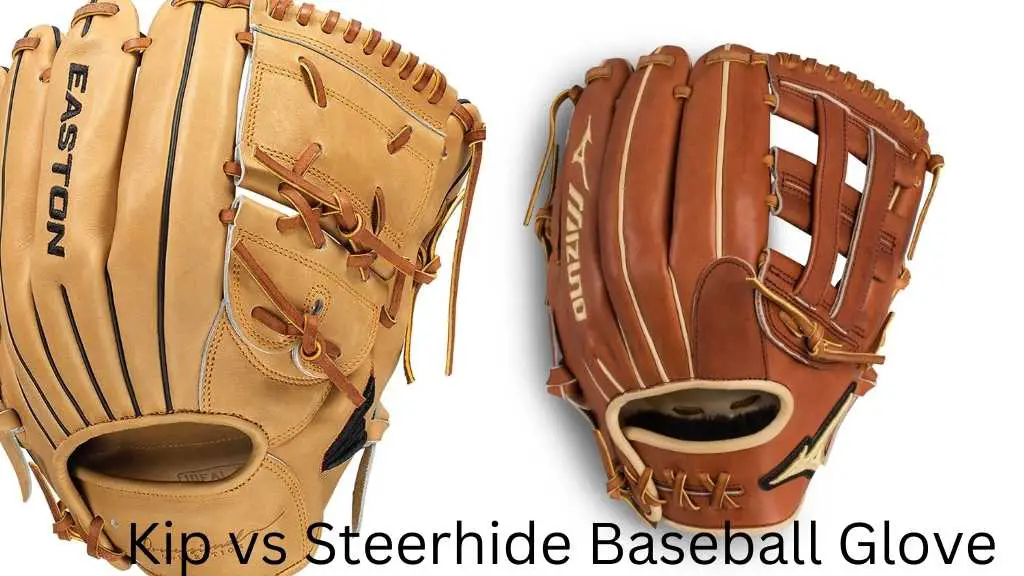 Kip vs Steerhide Baseball Glove