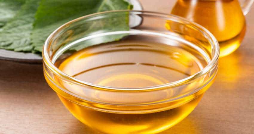 Can You use Vegetable Oil on Baseball Gloves Can You use Vegetable Oil on Baseball Gloves