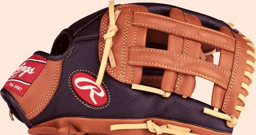 H-web Baseball Glove