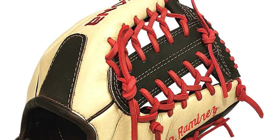 Modified Trap Web Baseball Glove