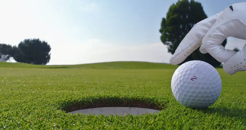 Can You Use Baseball Gloves for Golf