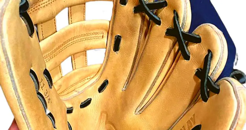 Glove Size Glove Size