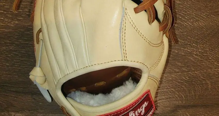 What Is A Kip Palm Liner On A Baseball Glove