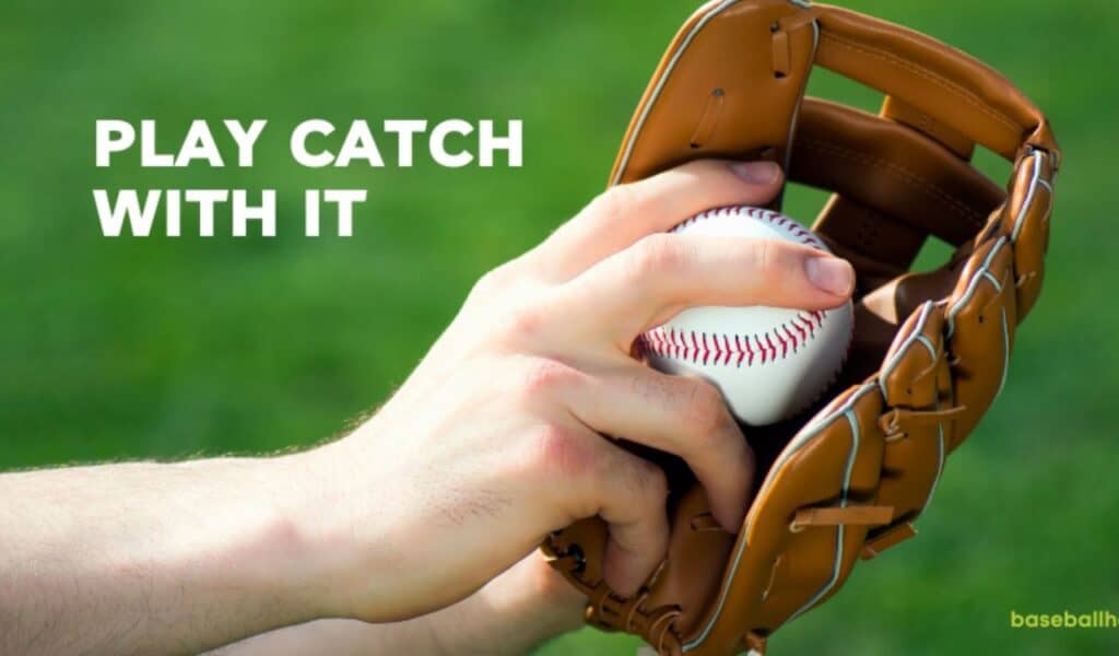 Play Catch with It Play Catch with It