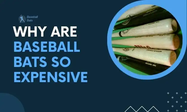 Why Are Baseball Bats So Expensive