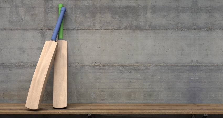 cricket bat